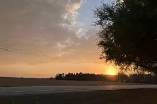 5497 Old Number Six Hwy, Elloree, SC 29047 - Photo 30