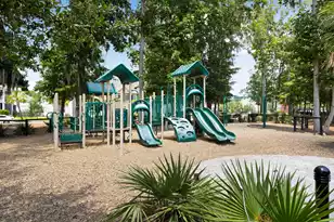 3013 Conservancy Ln, Charleston, SC 29414 - Photo 30