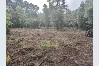 1 Abandon Lane Lane, Summerville, SC 29486 - Photo 4