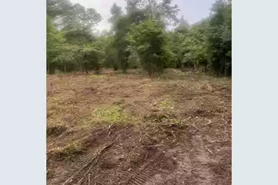 1 Abandon Lane Lane, Summerville, SC 29486 - Photo 8