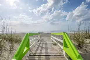 904 Ocean Blvd, Isle Of Palms, SC 29451 - Photo 36