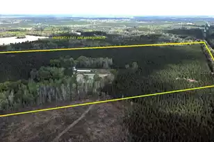 305 Ponderosa Rd, Saint Matthews, SC 29135 - Photo 1