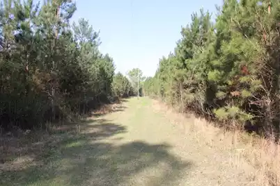 305 Ponderosa Road, Saint Matthews, SC 29135 - Photo 8