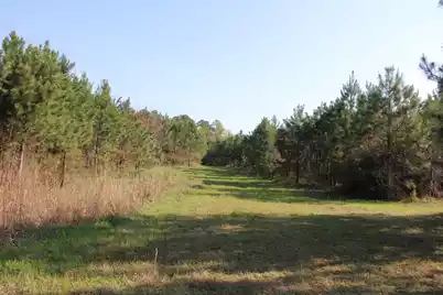 305 Ponderosa Road, Saint Matthews, SC 29135 - Photo 14