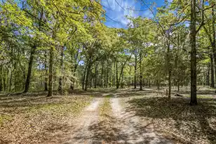 200 Belmont Dr, Walterboro, SC 29488 - Photo 1