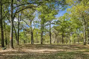 200 Belmont Dr, Walterboro, SC 29488 - Photo 46