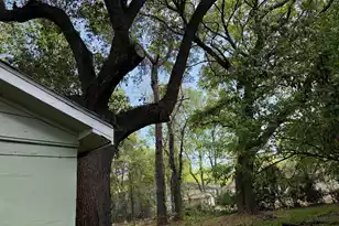 1929 Kerry St, North Charleston, SC 29406 - Photo 4