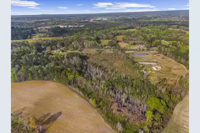 0 Mt Zion Road, Saint George, SC 29477 - Photo 8