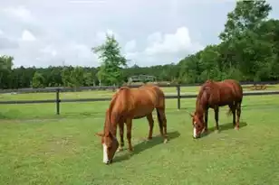 2003 United Dr, Huger, SC 29450 - Photo 1