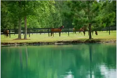 2003 United Drive, Huger, SC 29450 - Photo 8