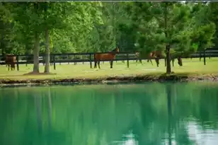 2003 United Dr, Huger, SC 29450 - Photo 8