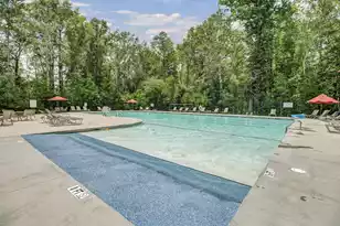3046 Conservancy Ln, Charleston, SC 29414 - Photo 48