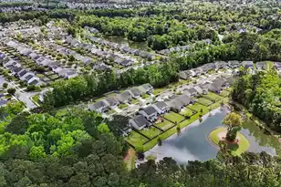 3046 Conservancy Ln, Charleston, SC 29414 - Photo 42