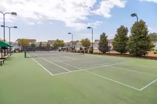 4047 Aspera Dr, Summerville, SC 29483 - Photo 38