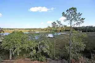 4158 Home Town Ln, Ravenel, SC 29470 - Photo 66