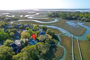 887 Parrot Creek Way, Charleston, SC 29412 - Photo 2