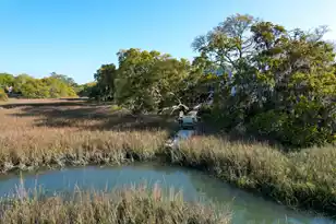 887 Parrot Creek Way, Charleston, SC 29412 - Photo 78