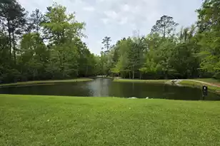 1805 Heldsberg Dr, Charleston, SC 29414 - Photo 26