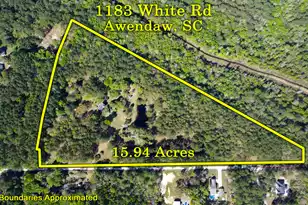 1183 White Rd, Awendaw, SC 29429 - Photo 2