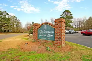 410 Carolina Cherry Ct, Charleston, SC 29414 - Photo 40