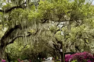 173 Stono Dr, Charleston, SC 29412 - Photo 66