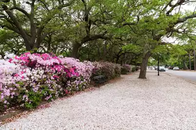 4 Rutledge Boulevard #Unit A, Charleston, SC 29401 - Photo 30