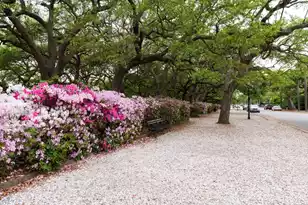 4 Rutledge Blvd #A, Charleston, SC 29401 - Photo 30