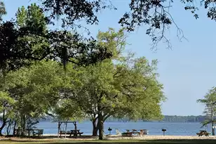 115 Marion Dr, Eutawville, SC 29048 - Photo 38