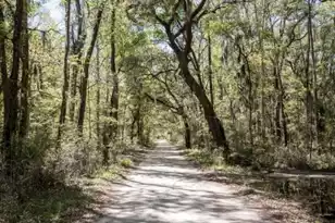 1692 Wharf Ferry Rd, Edisto Island, SC 29438 - Photo 54