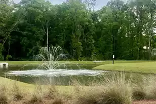 174 Yarrow Wy, Moncks Corner, SC 29461 - Photo 20