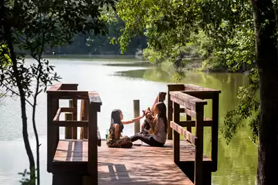 1018 Tea Time Drive, Summerville, SC 29485 - Photo 12