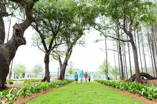 1018 Tea Time Dr, Summerville, SC 29485 - Photo 12