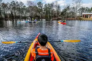 1044 Red Turnstone Run, Summerville, SC 29485 - Photo 20