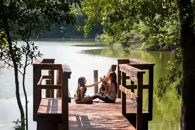 1044 Red Turnstone Run, Summerville, SC 29485 - Photo 16