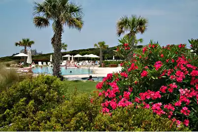 597 Oyster Rake Drive, Kiawah Island, SC 29455 - Photo 54