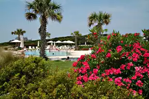 597 Oyster Rake Dr, Kiawah Island, SC 29455 - Photo 54