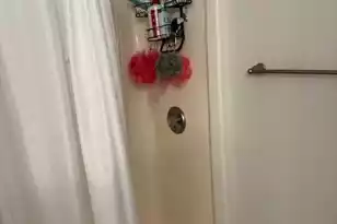 1396 Blue Heron Point, Manning, SC 29102 - Photo 6