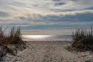 904 Arctic Ave E, Folly Beach, SC 29439 - Photo 52