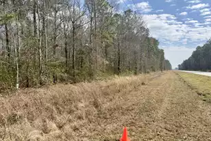 0 Hwy 6, Pinopolis, SC 29469 - Photo 14