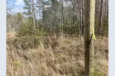 0 Highway 6, Pinopolis, SC 29469 - Photo 16