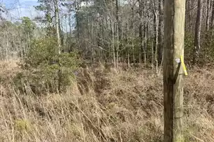 0 Hwy 6, Pinopolis, SC 29469 - Photo 16