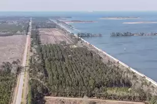 0 Hwy 6, Pinopolis, SC 29469 - Photo 10