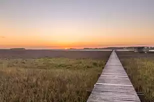 1024 Ashley Ave W, Folly Beach, SC 29439 - Photo 4