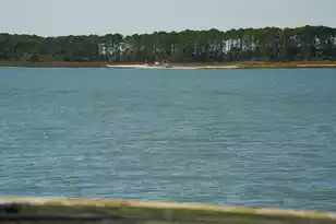 1024 Ashley Ave W, Folly Beach, SC 29439 - Photo 34