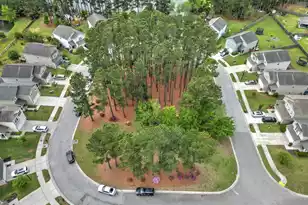 166 Brookhaven Rd, Summerville, SC 29486 - Photo 50