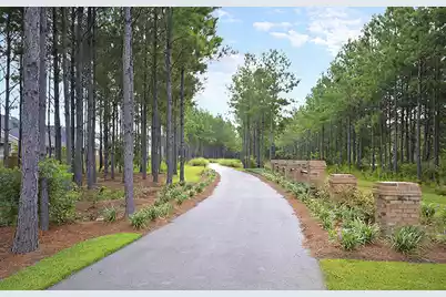 127 Lindera Preserve Boulevard, Summerville, SC 29486 - Photo 36