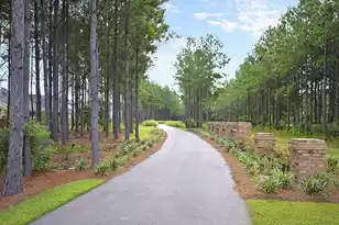 127 Lindera Preserve Blvd, Summerville, SC 29486 - Photo 36