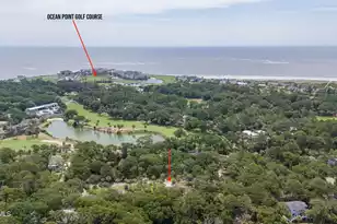 414 Porpoise Dr, Fripp Island, SC 29920 - Photo 68