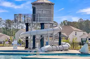 144 Smt Vw Dr, Summerville, SC 29486 - Photo 46