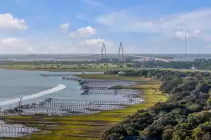 452 Morrison St, Mount Pleasant, SC 29464 - Photo 10